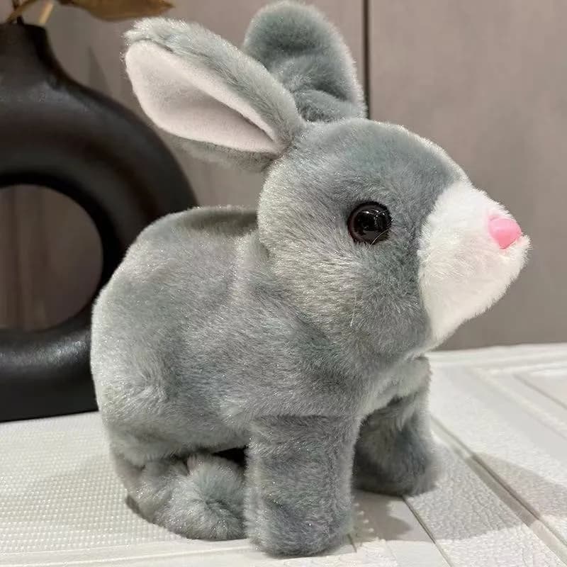 dog in toy
