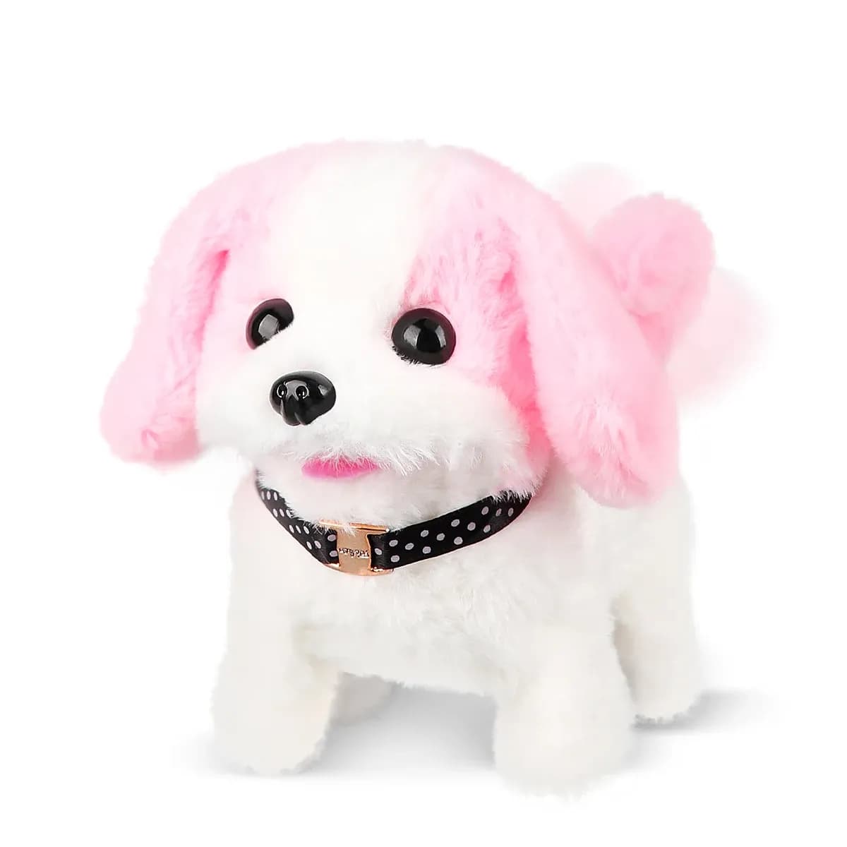 dog in toy