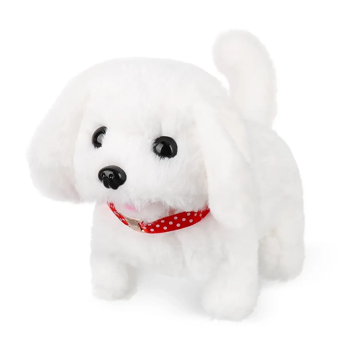 dog in toy
