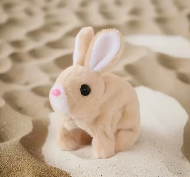 dog in toy